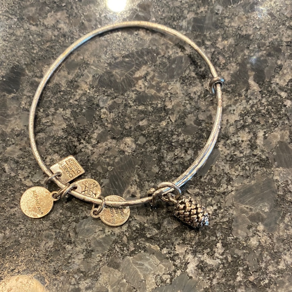 Alex and Ani Silver Charm Bracelet